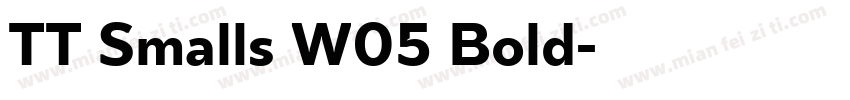 TT Smalls W05 Bold字体转换